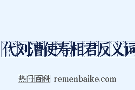 代刘漕使寿相君反义词是什么意思的图片